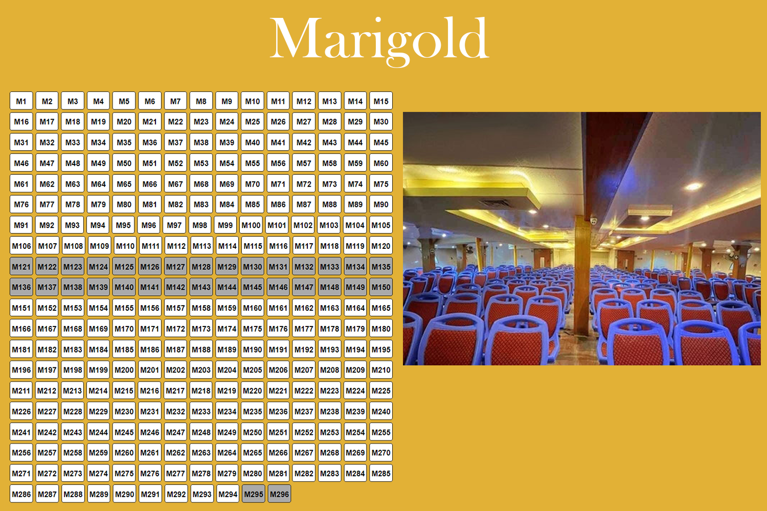 mvkarnafulyexpressbd.com-s2-marigold