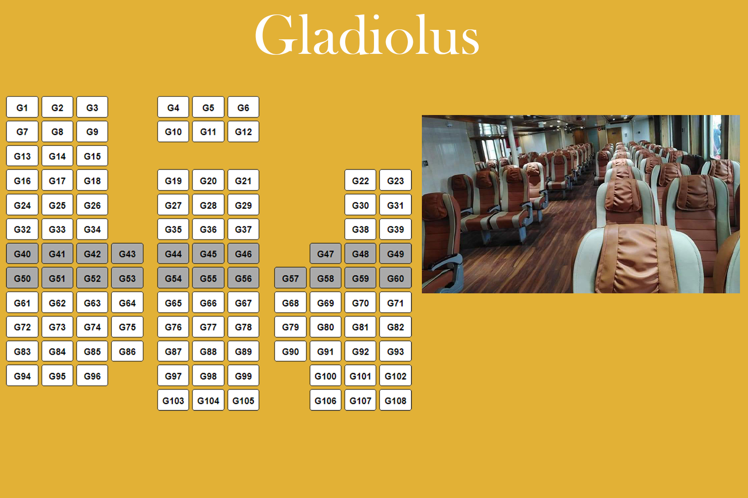 mvkarnafulyexpressbd.com-s4-gladiolus